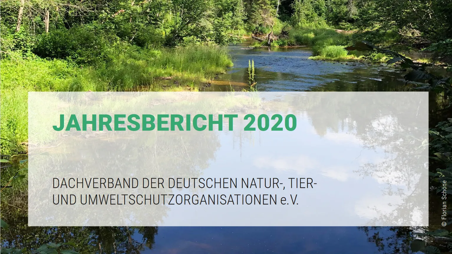 Jahresbericht 2020